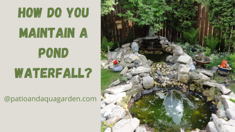How Do You Maintain A Pond Waterfall